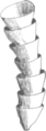 Cloudina