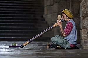 Archivo:Didgeridoo street player-2