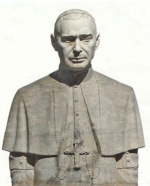 Domingo Pérez Cáceres (cropped)