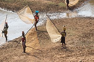 Archivo:Fisher women on River Niger in Guinea, Africa