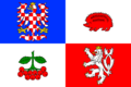 Flag of Vysocina Region