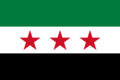 Flag of the Syrian revolution