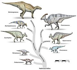 Archivo:Hadrosaur-tree-v4