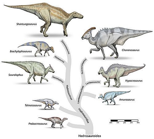 Archivo:Hadrosaur-tree-v4