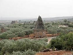Idlib, Syria, Dead Cities, Al-Bara 2.jpg