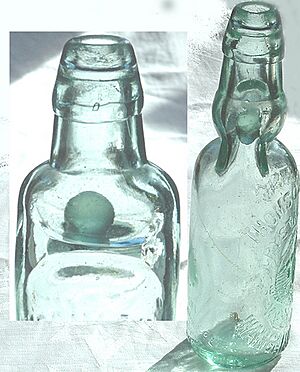 Archivo:Image-Codd bottle