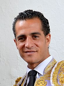 Iván Fandiño en Brihuega en 2014.jpg