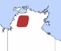 Kakadu Dunnart