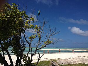 Archivo:Kite surf en Los Roques