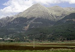 Margem do Rio Urubamba (26).JPG