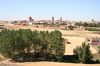Mayorga Vista general 01 JMM.JPG