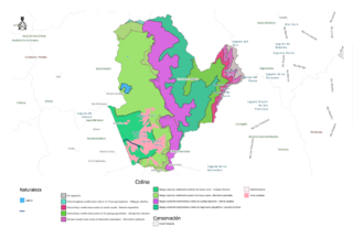 Archivo:Medio ambiente de Chile (2023) - comuna de Colina