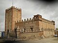 Narros de Saldueña castillo
