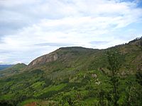 Archivo:Nilgiri mountain view