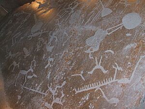 Archivo:Onega petroglyphs Hermitage