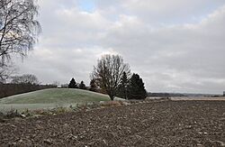 Oseberghaugen, Norge Viking burial mound, Tønsberg, Norway hoarfrost November 2011.jpg