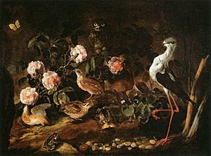 Archivo:Paolo Porpora - Still-Life with an Owl and an Ibis - WGA18171
