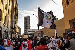 Archivo:Paro Nacional 19 de enero en la ciudad de Lima 10