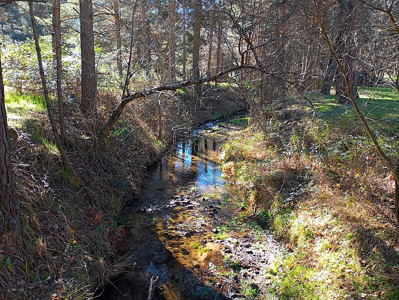 Río Gudillos