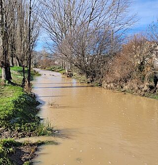 Río Regamón en Rágama- Alejandro del Río.jpg