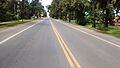 Ruta9 arboles