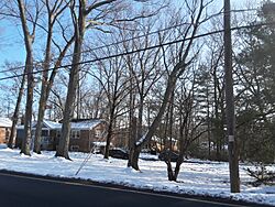 Snowy street scene in Mantua.jpg