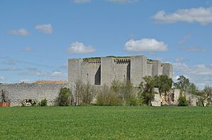 Archivo:Villalba de los Alcores - 023 (40947113315)