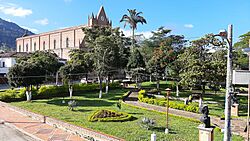 Vista a Parque Principal Valle de San José.jpg
