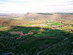 Vista de San Martín de Elines.jpg