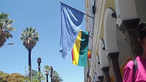 Archivo:Vista de las banderas colgadas en la alcaldia municipal