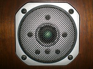 Archivo:Yamaha NS-2000 Speaker -tweeter-