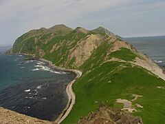 О. Медный 3564565
