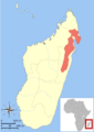 Allocebus trichotis range map