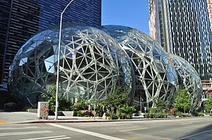 Archivo:Amazon Spheres 05