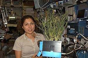 Archivo:Anousheh Ansari in the ISS
