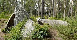 Anta da Pedra Cuberta, Treos, Vimianzo.jpg