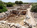 Capocorb Vell 007