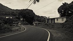 Carretera PR-821, Corozal, Puerto Rico (1).jpg