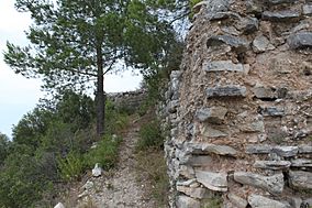 Archivo:Castell Carbonera Muralla Norte