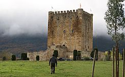 Castillo de los Velasco de Lezana de Mena.JPG