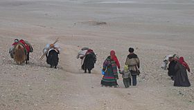 Archivo:Changpas nomadic people - Changtang - Tibet