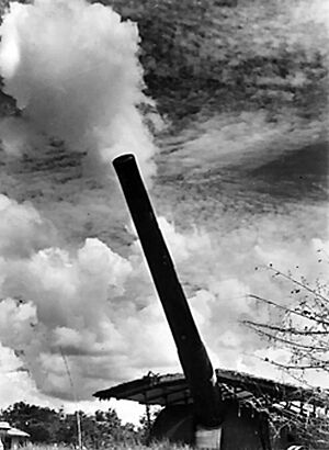 Archivo:Coastal defence gun at Singapore