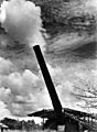 Coastal defence gun at Singapore