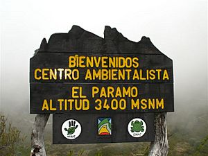 Archivo:Costa Rica Chirripo paramo