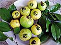Crguava