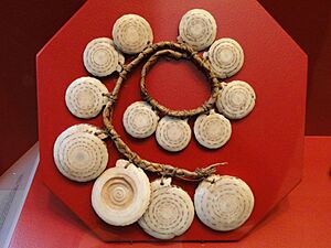 Archivo:Dance ornament of conus shell and pandanus leaf string, Kiribati, 1891 - Staatlichen Museums für Völkerkunde München - DSC08292