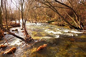 Archivo:El río Manzanares (32972459575)