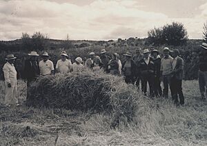 Archivo:En la siega