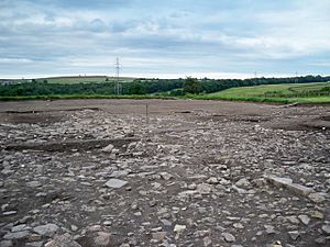 Archivo:Excavations at Binchester - geograph.org.uk - 1396679