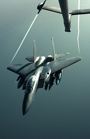 Archivo:F-15 wingtip vortices